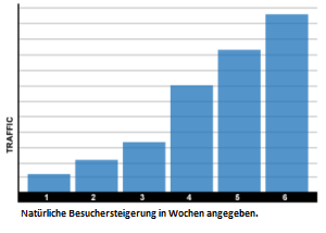 Die Besucher werden natürlich gesteigert und dies sichert Ihnen diverse Vorteile.