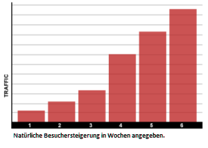 Sie erhalten eine Traffic Flatrate die Ihnen täglich Webseiten Besucher bringt.